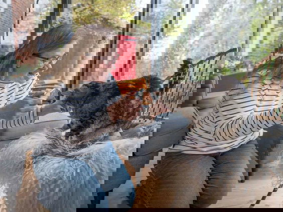 Jolanda Boekhout legt uit hoe je huisdieren het beste op de foto kunt zetten!