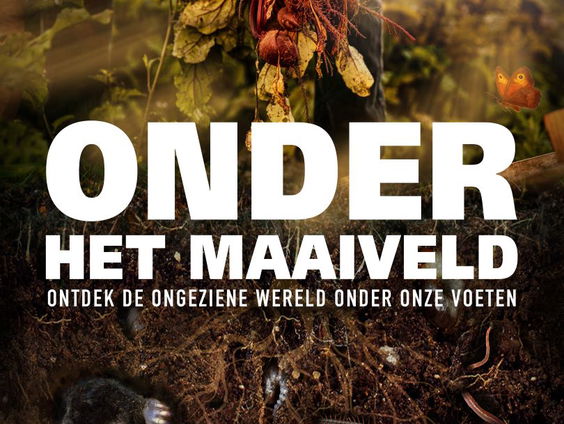 Ignas van Schaik over de bioscoopfilm 'Onder het Maaiveld'