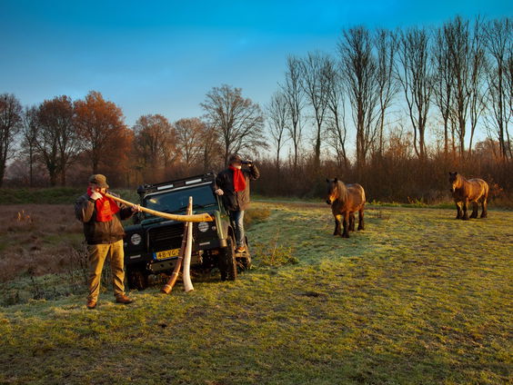 Midwinterhoornplantage in Eibergen geopend