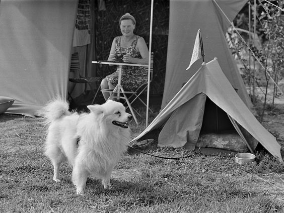 Vakantiespecialist over ANWB-kampeer-cursussen