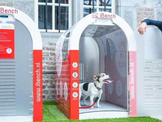 Geen overhitte honden meer in de auto