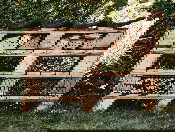 Hoe maak je een insectenhotel? Boswachter Mathiska legt uit!