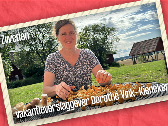 VakantieVerslaggever Dorothé Vink-Kieneker is in Zweden