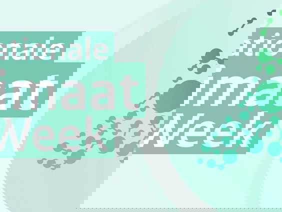 Maak kennis met deze 3 klimaatburgemeesters