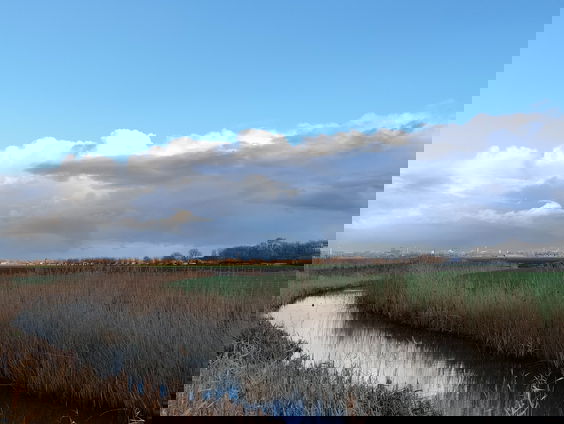 Het Pieterpad bestaat 40 jaar!