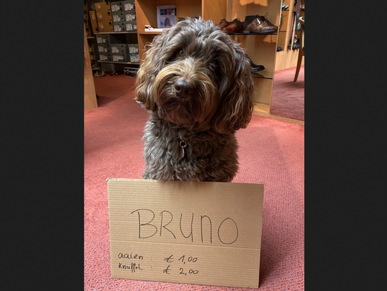 Noodkreet: hondenbrokken voor Bruno!