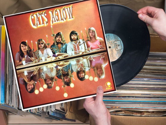 Liefde voor Muziek / Plaatwaarde: Aglow van The Cats