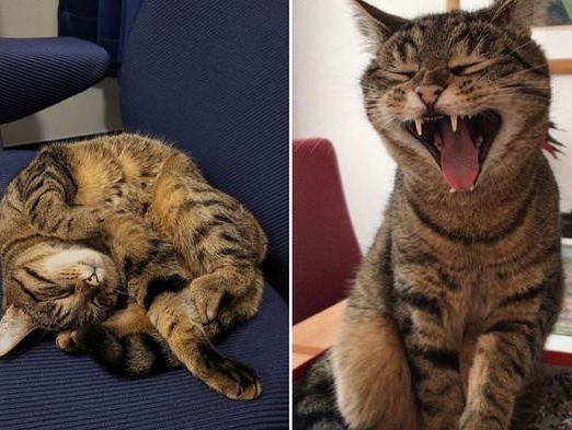 Pluk is vaste gast in psychiatrisch ziekenhuis