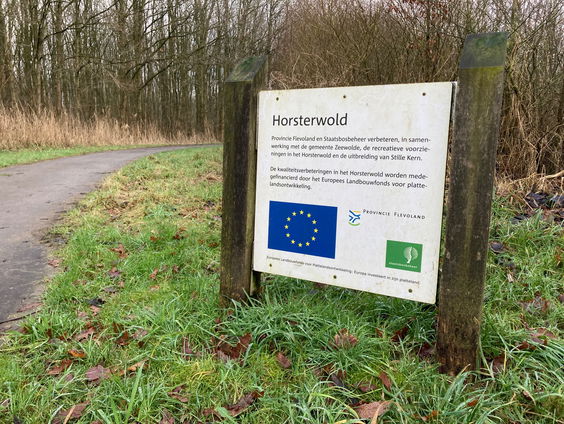 Tom Herlaar struint door het Horsterwold