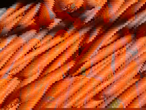HZD: Word je van wortels eten oranje?