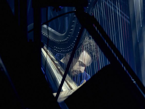 Remy van Kesteren over het Dutch Harp Festival