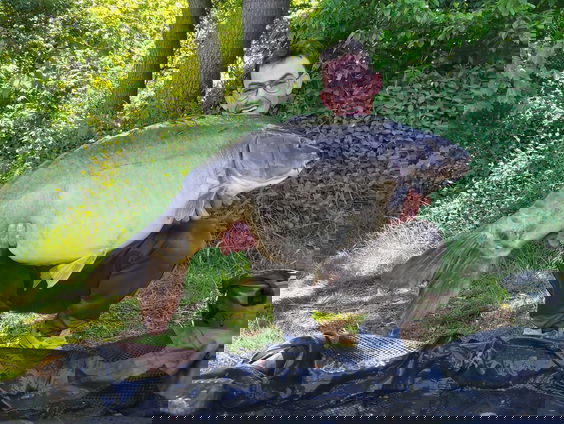 Toby en Froukje gaan een jaar lang vissen