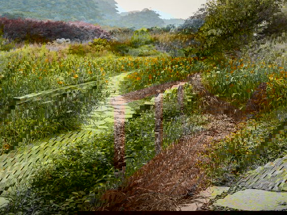 Alles heeft een bedoeling