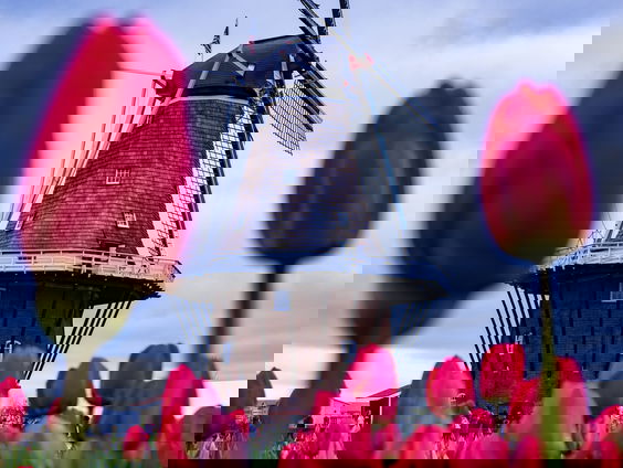 Lunch Lekker Vakantietips: Nederland!