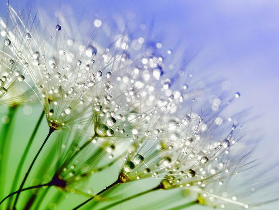 Laat je zachte stem horen