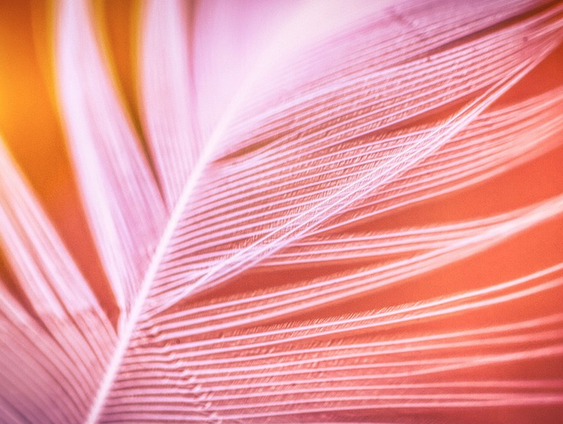 Je mentale veerkracht!