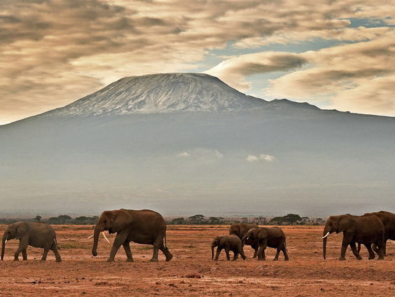 Snel internet nodig op vakantie? Dan moet je op de Kilimanjaro zijn!
