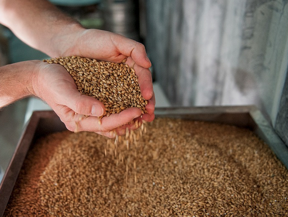 Molenaar Joep Gründemann wil gort terug in de Groninger keuken