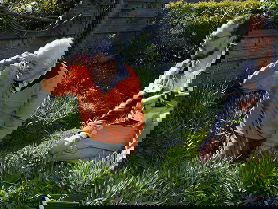 Sociale ondersteuning voor dementerende ouderen