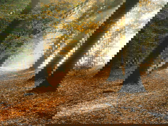 Bert Jan Boss maakt duurzame grafkisten