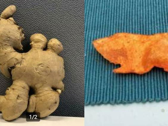 Bijzondere vondsten in de supermarkt: gemberkameel en chipscavia