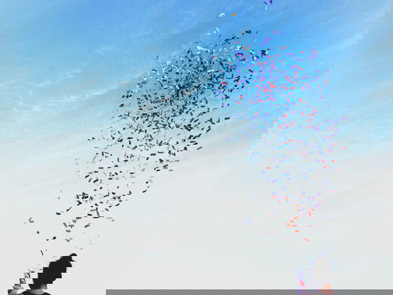 Vele Handen wint de Erfgoedvrijwilligersprijs 2021