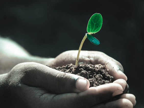 Lessen voor het leven