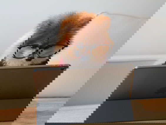 Bep (94) helpt andere ouderen met computeren