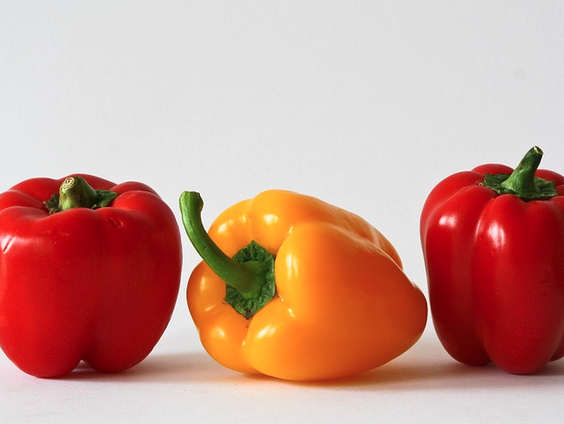 Je huis isoleren met papikrastengels