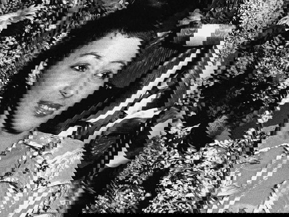 De verhalen van Jan Paparazzi - De Mallemolen van Heddy Lester