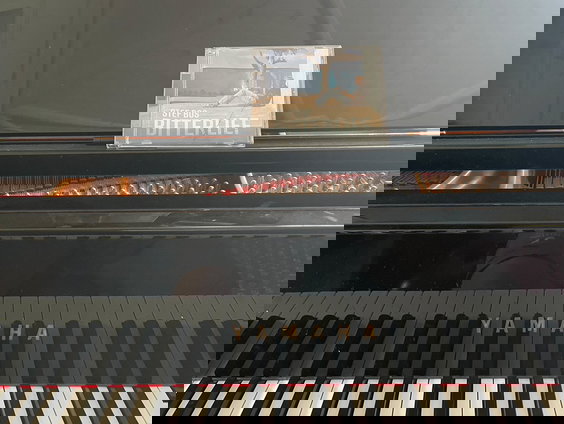 BertOp5-première: Bitterlief - Stef Bos