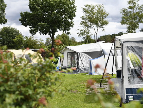 Begrip in campingwereld 'De Betteld' blaast vijftig kaarsjes uit