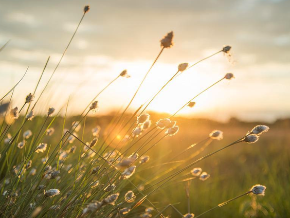 Vergeet de mooie dagen niet!
