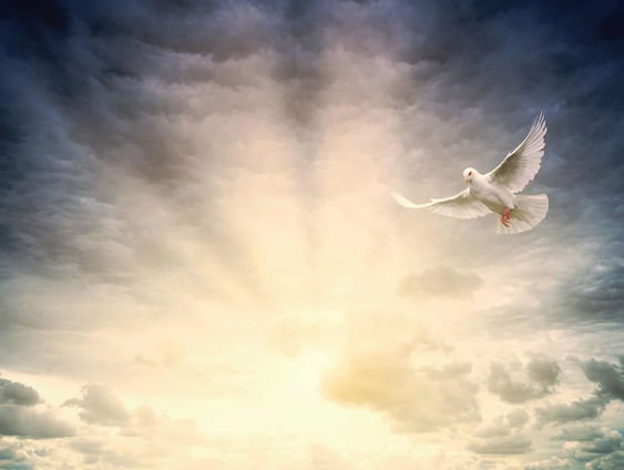 En bijna niemand weet over het Pinksterfeest