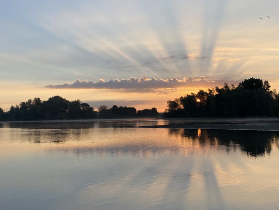 Laat je gedachten meevoeren met de stroom