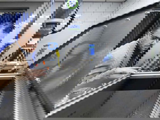 Na je dood oplossen in het niets