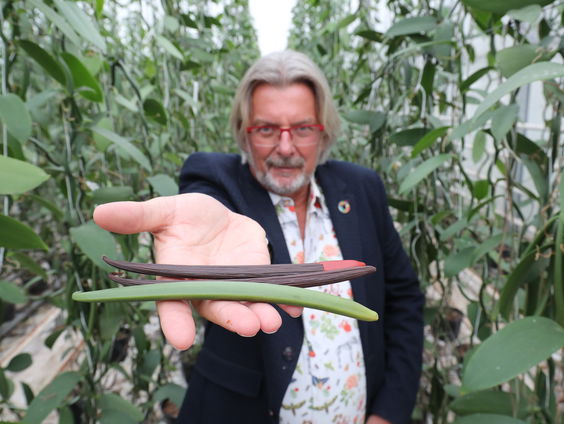 De eerste Nederlandse vanille binnenkort op je bord!