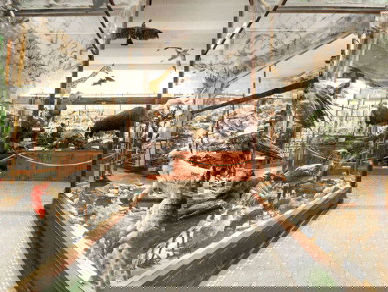 De hele wereld verzameld in Steyl