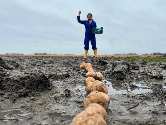 Laura de Grave maakt een aardappelslinger van bijna twee kilometer