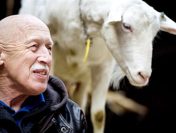 The Incredible Dr. Pol is terug!