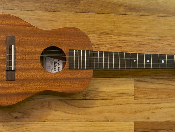 Het Ukeleleparadijs verdwijnt!