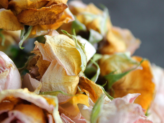 Droogbloemen zijn weer helemaal in