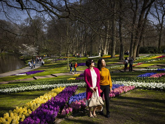 Na twee jaar is de Keukenhof weer geopend!