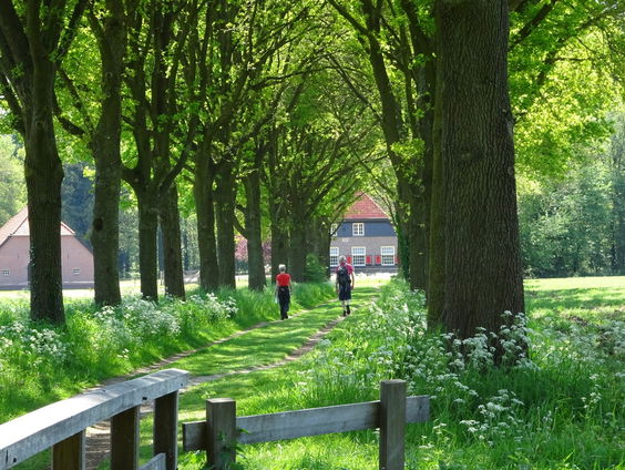 De mooiste wandelroutes in de Achterhoek!