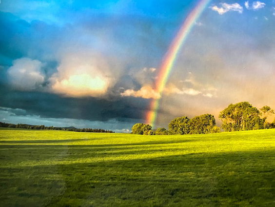 De Bosatlas van Weer en Klimaat