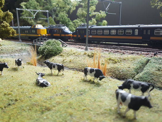 Han Landman verzamelt modeltreinen