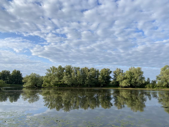 Wie bij het water staat, stroomt in gedachten terug