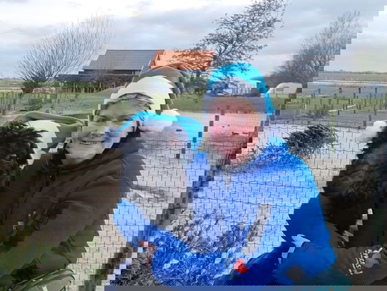 Alpaca's eten jouw kerstboom op!