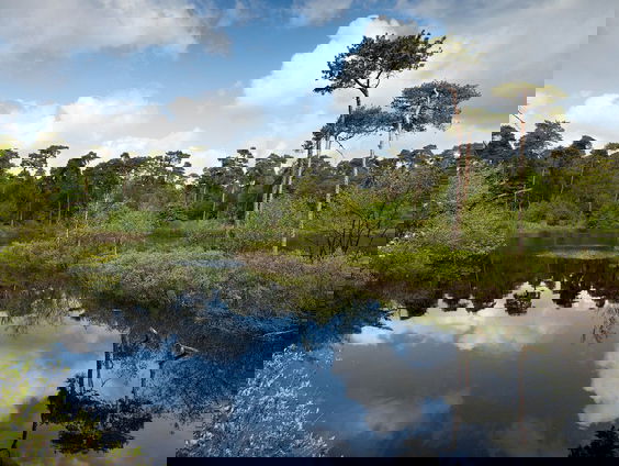 Lunch Lekker Vakantietips: Nederland