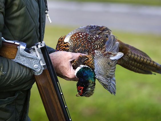 Amalia haalt jachtakte, maar wat houdt zo'n akte nou eigenlijk in?